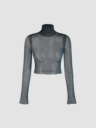 Metallic High Neck Sheer Crop Top