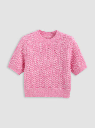 Round Neck Knit Short Sleeve Crop Top
