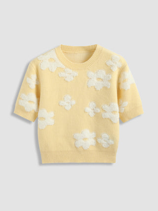 Round Neck Floral Knit Short Sleeve Top