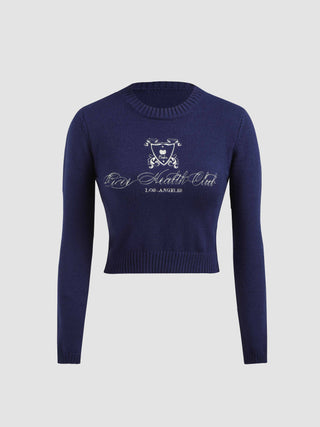 Round Neckline Gradient Knitted Long Sleeve Top