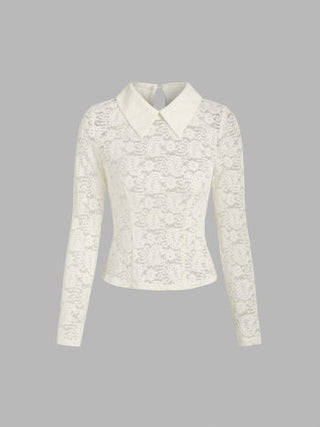 Lace Collar Floral Long Sleeve Top