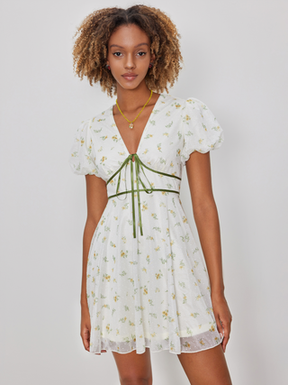 Mesh V-neck Floral Knotted Mini Dress