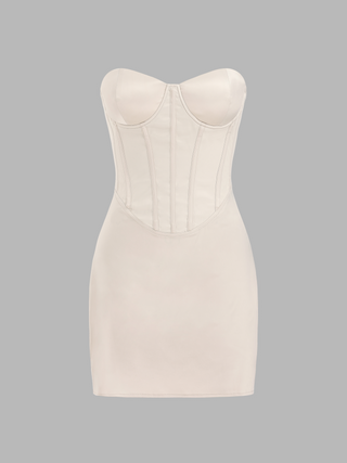Satin Corset Tube Mini Dress